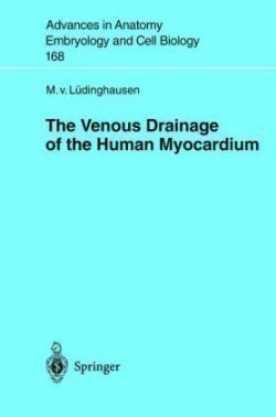 Venous Drainage of the Human Myocardium