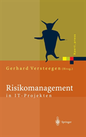 Risikomanagement in IT-Projekten