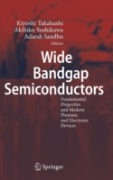 Wide Bandgap Semiconductors