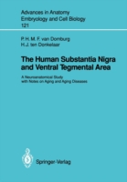 Human Substantia Nigra and Ventral Tegmental Area