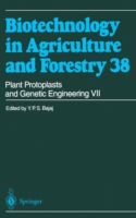 Plant Protoplasts and Genetic Engineering VII