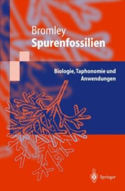 Spurenfossilien