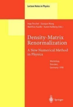 Density-Matrix Renormalization - A New Numerical Method in Physics