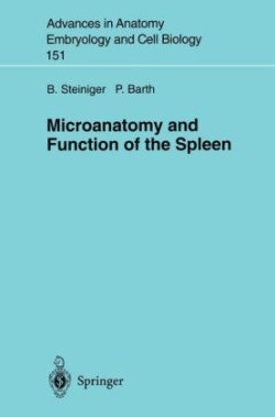 Microanatomy and Function of the Spleen
