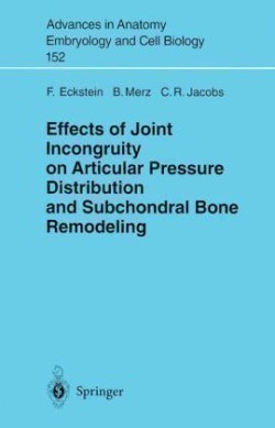 Effects of Joint Incongruity on Articular Pressure Distribution and Subchondral Bone Remodeling