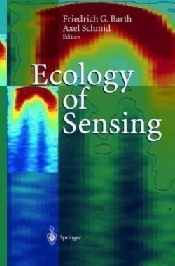 Ecology of Sensing