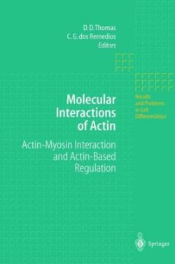 Molecular Interactions of Actin