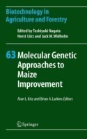 Molecular Genetic Approaches to Maize Improvement