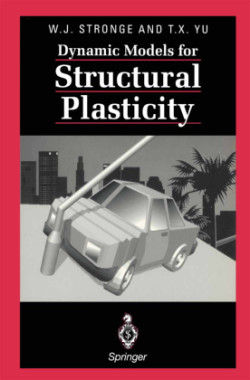 Dynamic Models for Structural Plasticity