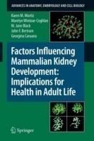 Factors Influencing Mammalian Kidney Development: Implications for Health in Adult Life