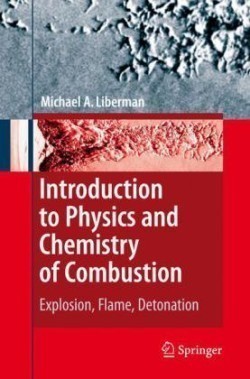 Introduction to Physics and Chemistry of Combustion