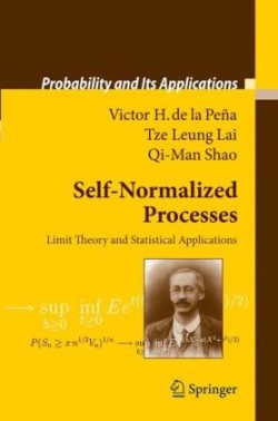 Self-Normalized Processes