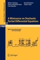 Minicourse on Stochastic Partial Differential Equations