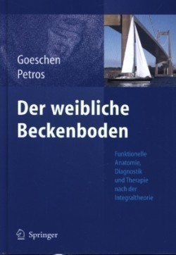 Der weibliche Beckenboden