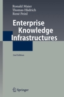 Enterprise Knowledge Infrastructures