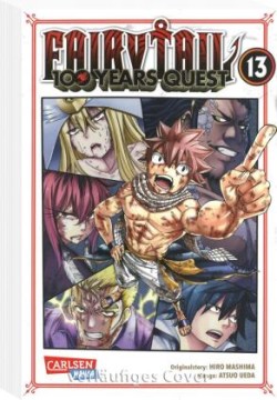 Fairy Tail - 100 Years Quest.Bd.13