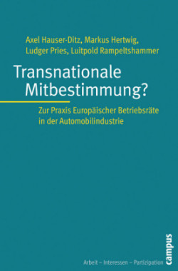 Transnationale Mitbestimmung?