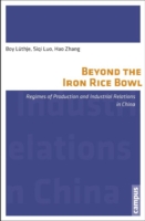 Beyond the Iron Rice Bowl