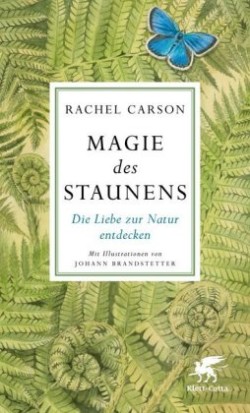 Magie des Staunens