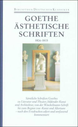 Sämtliche Werke, Briefe, Tagebücher und Gespräche, Bd. 19, Ästhetische Schriften 1806-1815