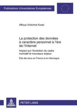 La Protection Des Données À Caractère Personnel À l'Ère de l'Internet