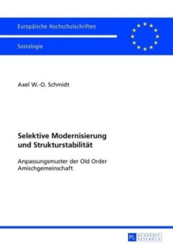 Selektive Modernisierung Und Strukturstabilitaet