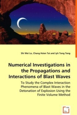 Numerical Investigations in the Propagations and Interactions of Blast Waves