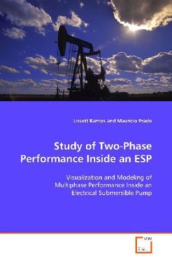 Study of Two-Phase Performance Inside an ESP