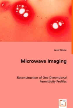 Microwave Imaging