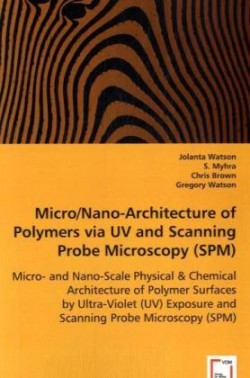 Micro/Nano-Architecture of Polymers