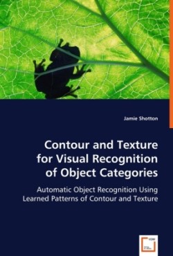 Contour and Texture for Visual Recognition of Object Categories