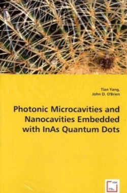 Photonic Microcavities and Nanocavities Embedded with InAs Quantum Dots