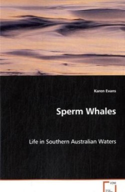 Sperm Whales - Life in Southern Australian Waters