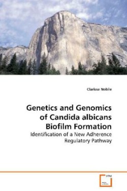 Genetics and Genomics of Candida albicans Biofilm Formation