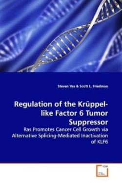 Regulation of the Krüppel-like Factor 6 Tumor Suppressor