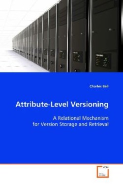 Attribute-Level Versioning