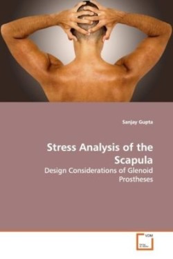 Stress Analysis of the Scapula