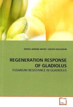 Regeneration Response of Gladiolus