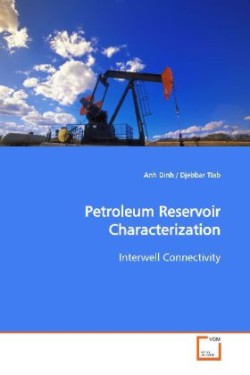 Petroleum Reservoir Characterization