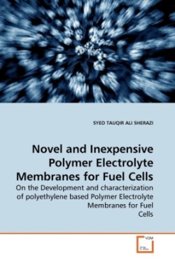 Novel and Inexpensive Polymer Electrolyte Membranes for Fuel Cells