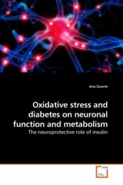 Oxidative stress and diabetes on neuronal function and metabolism