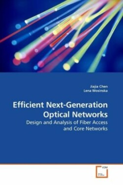 Efficient Next-Generation Optical Networks