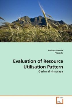 Evaluation of Resource Utilisation Pattern