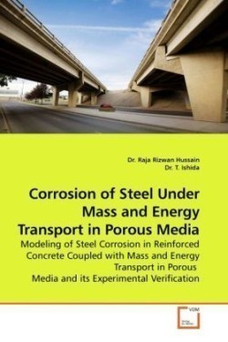 Corrosion of Steel Under Mass and Energy Transport in Porous Media