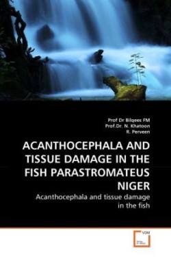 Acanthocephala and Tissue Damage in the Fish Parastromateus Niger