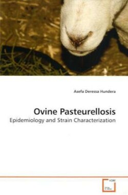 Ovine Pasteurellosis