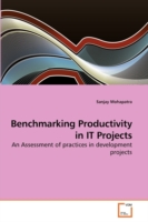 Benchmarking Productivity in IT Projects