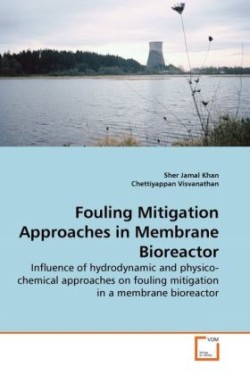 Fouling Mitigation Approaches in Membrane Bioreactor