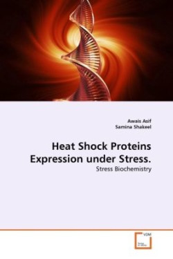 Heat Shock Proteins Expression under Stress.