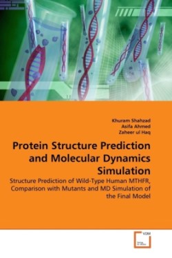 Protein Structure Prediction and Molecular Dynamics Simulation